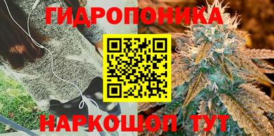 а пвп мука Гусев