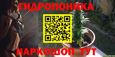 ГАЛЛЮЦИНОГЕННЫЕ ГРИБЫ Гусь-Хрустальный
