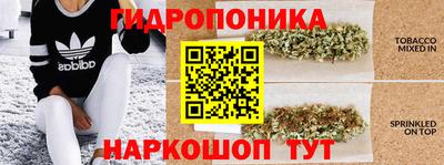 ГАЛЛЮЦИНОГЕННЫЕ ГРИБЫ Гусь-Хрустальный