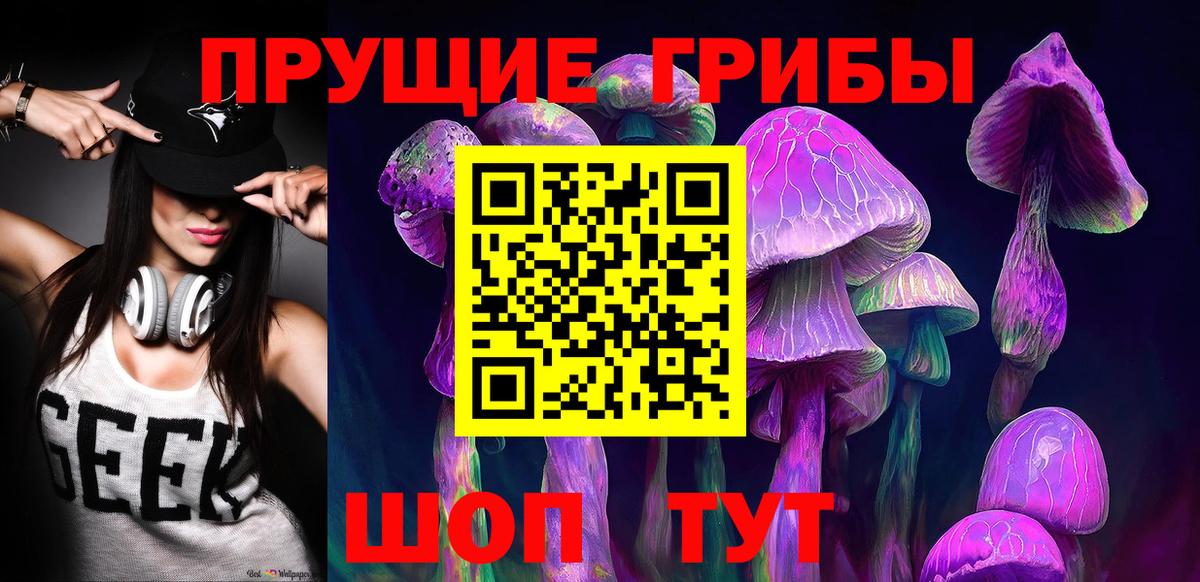 Псилоцибиновые грибы Psilocybe  Псилоцибиновые грибы GOLDEN TEACHER  Вход с VPN  Михайловск 