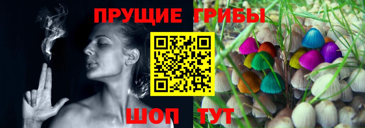 Галлюциногенные грибы Magic Shrooms Михайловск